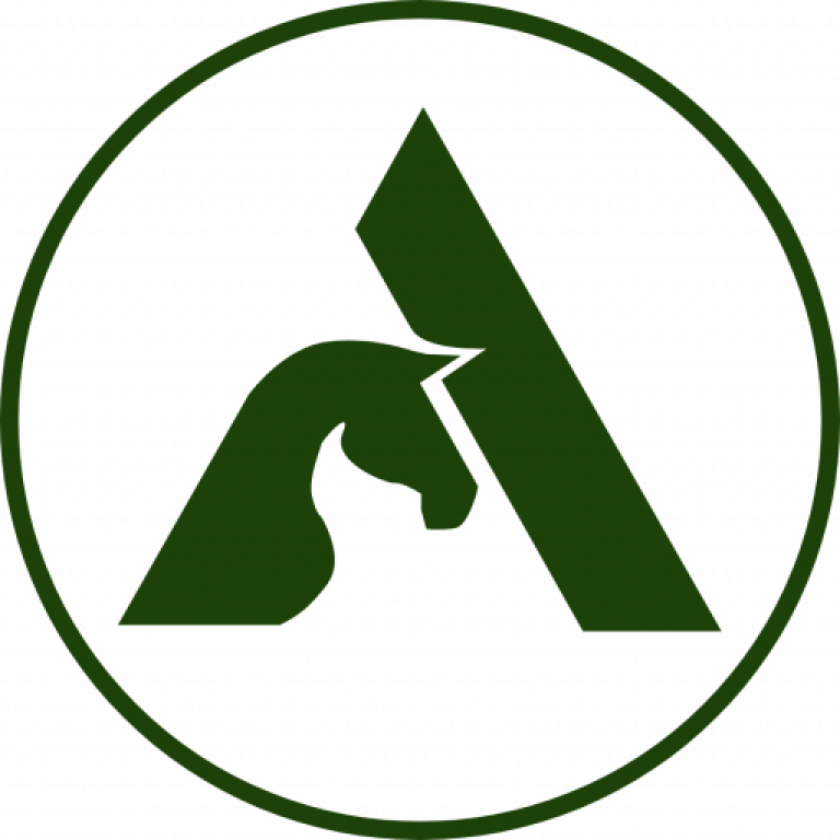 Techarion logo